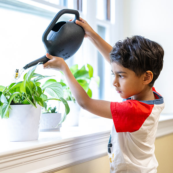 preschool boy watering plant with watering can