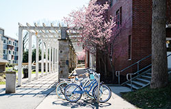 bikes outside a dorm